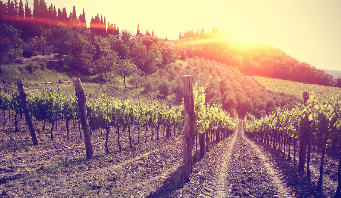 The essence of Italy